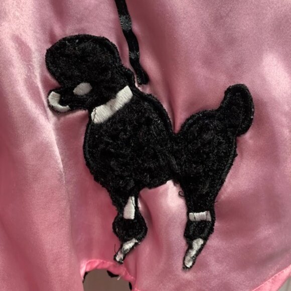 PINK LADIES/ GREASE MOVIE TOP & SKIRT COMBO - Picture 6 of 7